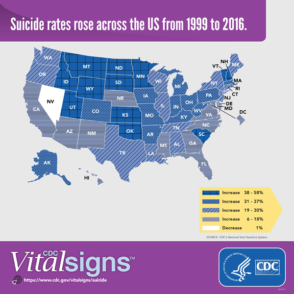 Suicide rates rose across the US from 1999 to 2016