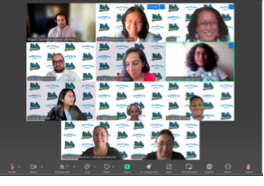 A screenshot of a Zoom video call with twelve participants.