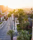 an aerial view of a sunlit street lined with palm trees