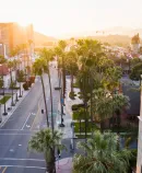 an overhead view of a sunlit street in a city with palm trees