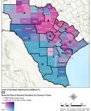 map of Texas counties showing areas of strategic opportunity