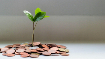 A plant growing out of a small pile of coins