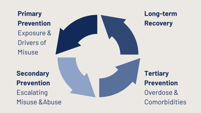 Circular loop diagram with four blue arrows labeled primary, secondary, tertiary prevention and long-term recovery on beige background.